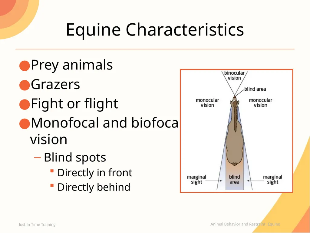 Animal Behavior and Restraint Equine Equine - slide 2 of 13