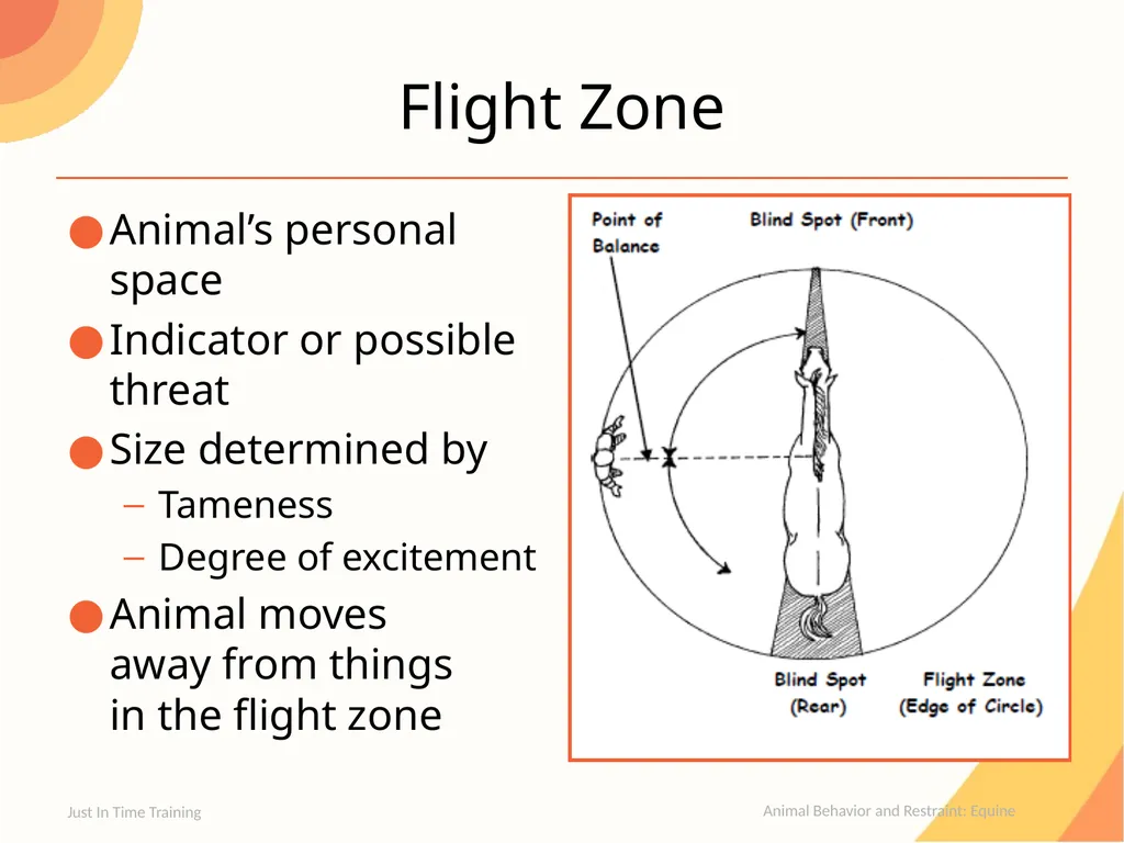 Animal Behavior and Restraint Equine Equine - slide 5 of 13