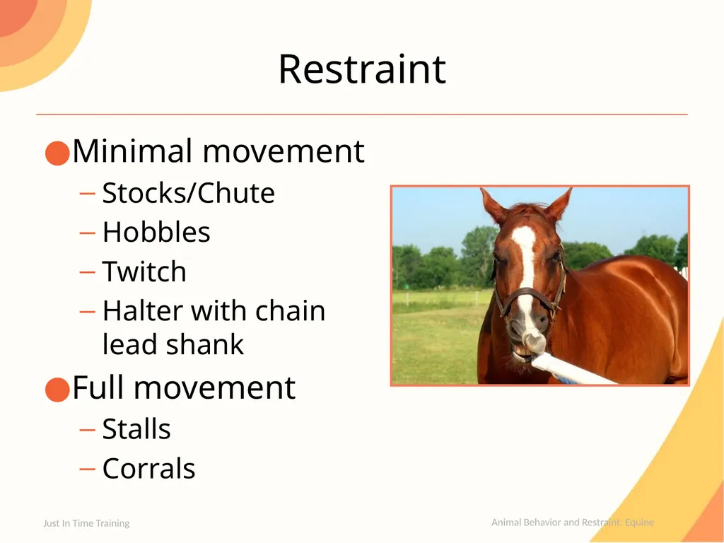 Animal Behavior and Restraint Equine Equine - slide 9 of 13