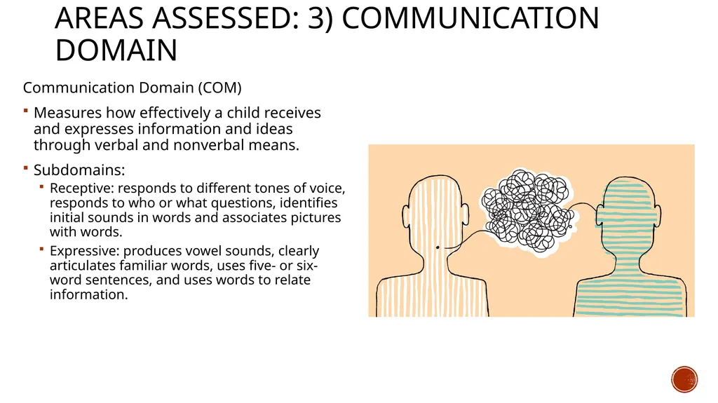 The Battelle Developmental Inventory 2nd Edition - slide 11 of 23