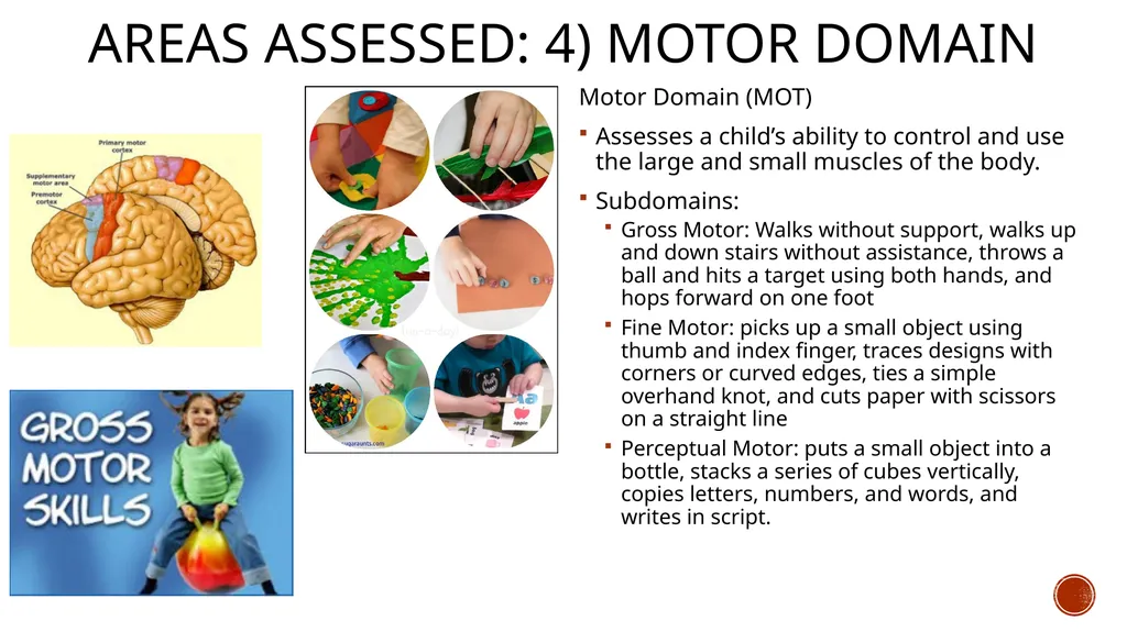 The Battelle Developmental Inventory 2nd Edition - slide 12 of 23