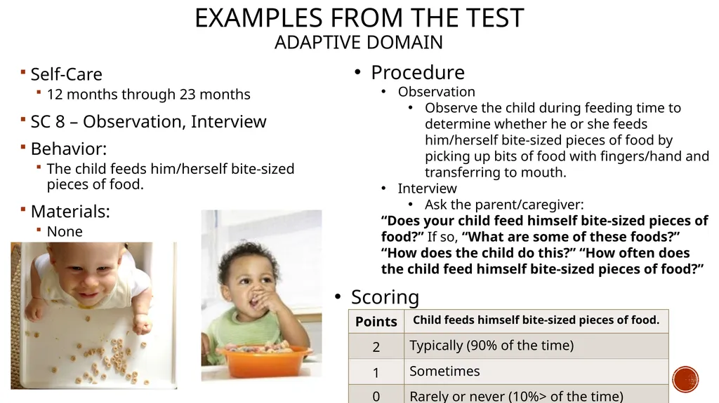 The Battelle Developmental Inventory 2nd Edition - slide 15 of 23
