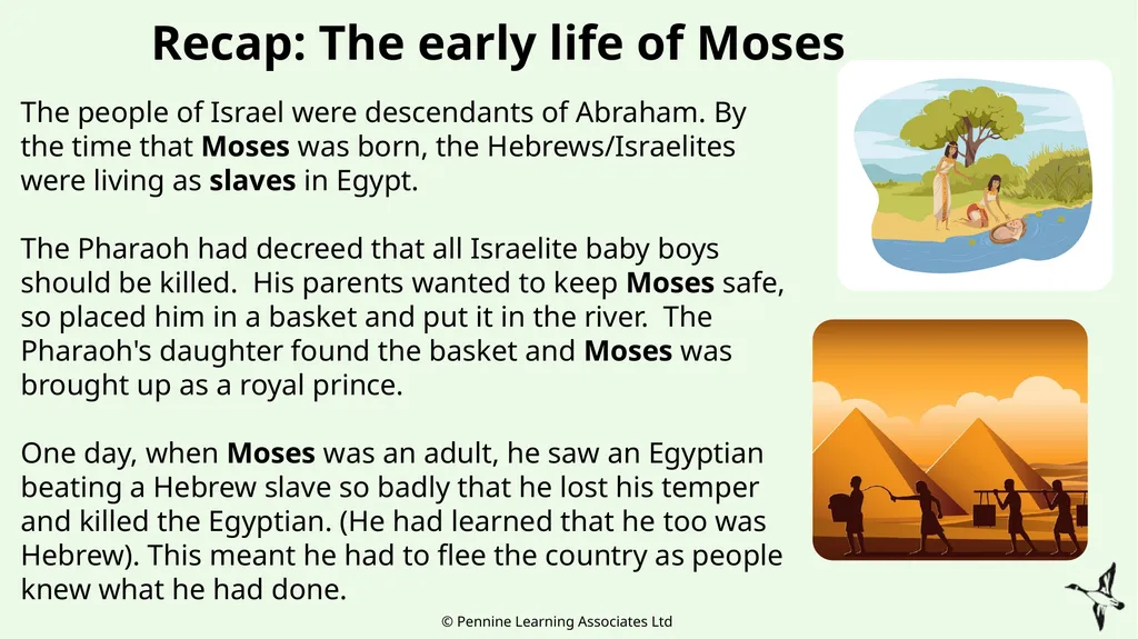 Thank you for using this resource. We hope it - slide 11 of 30