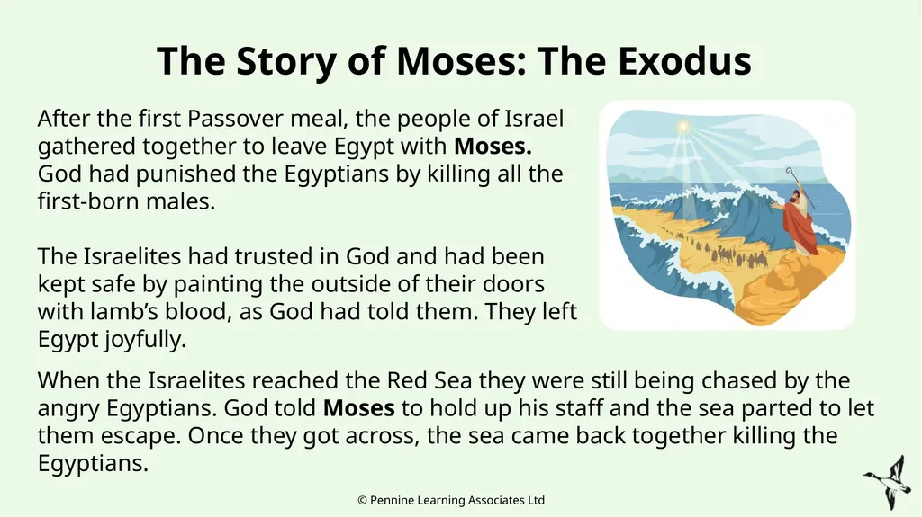 Thank you for using this resource. We hope it - slide 15 of 30