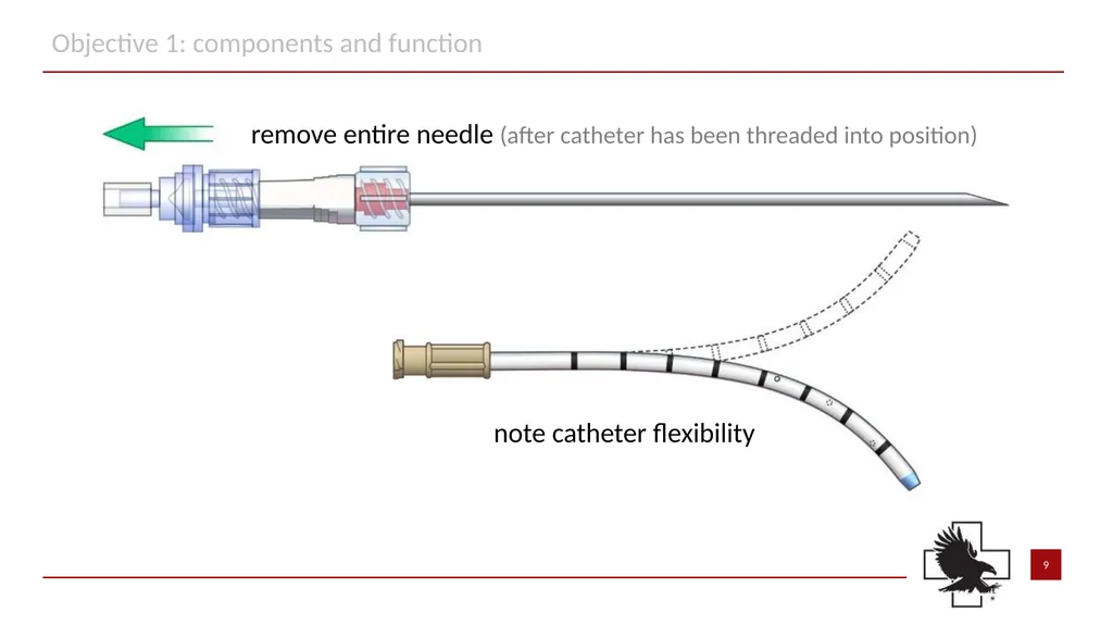 S P E A R™ decompression needle system Simplified - slide 9 of 36