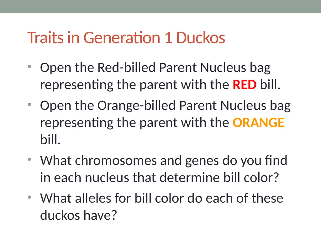GENETICS Lesson 4a How Can a Model of Inheritance - slide 7 of 12