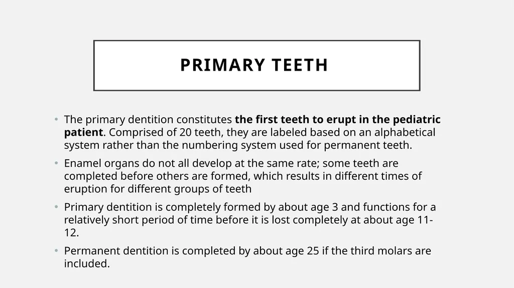The Dentitions Dr. Pinar Khalis BDS, MSc in - slide 5 of 12