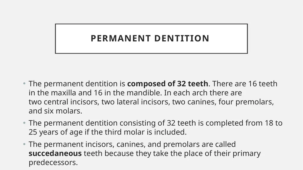 The Dentitions Dr. Pinar Khalis BDS, MSc in - slide 9 of 12