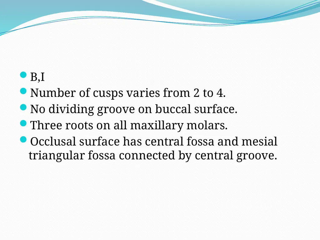PRIMARY TEETH OBJECTIVES : 1) Identify name , - slide 12 of 22