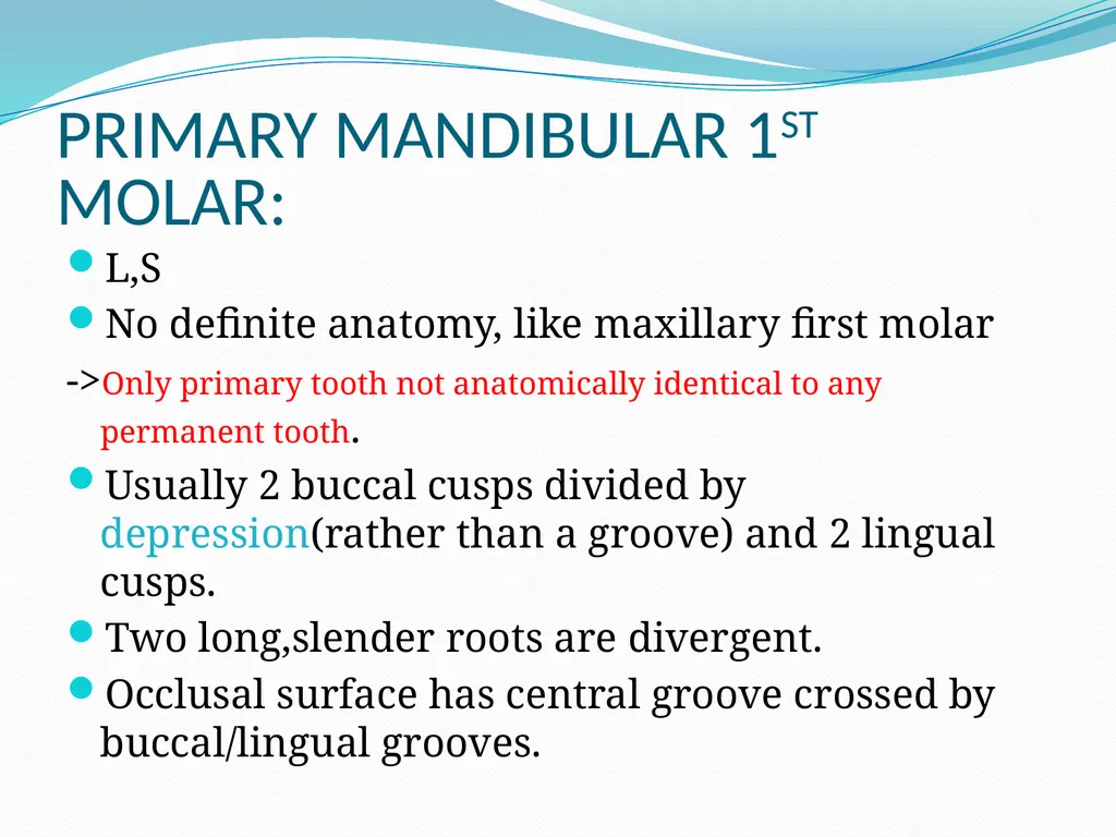 PRIMARY TEETH OBJECTIVES : 1) Identify name , - slide 18 of 22
