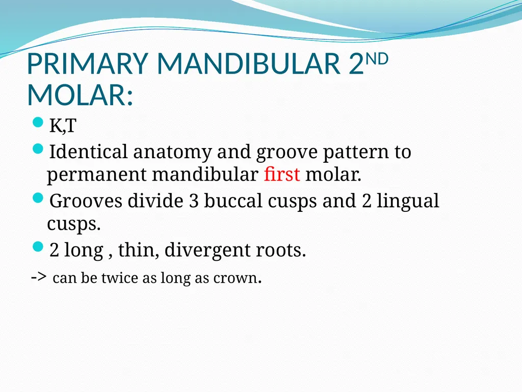 PRIMARY TEETH OBJECTIVES : 1) Identify name , - slide 19 of 22