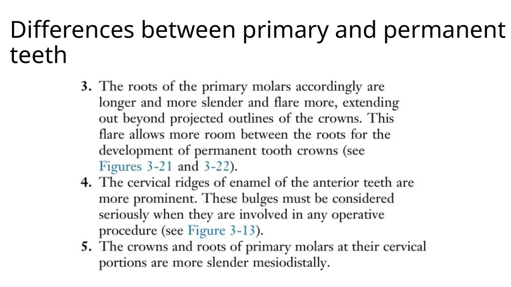 Lecture#3: Primary Dentition Dr Vinothkumar.S - slide 5 of 13