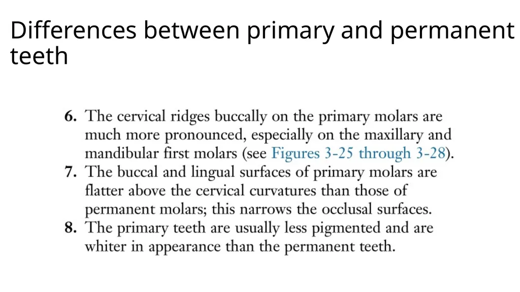 Lecture#3: Primary Dentition Dr Vinothkumar.S - slide 6 of 13