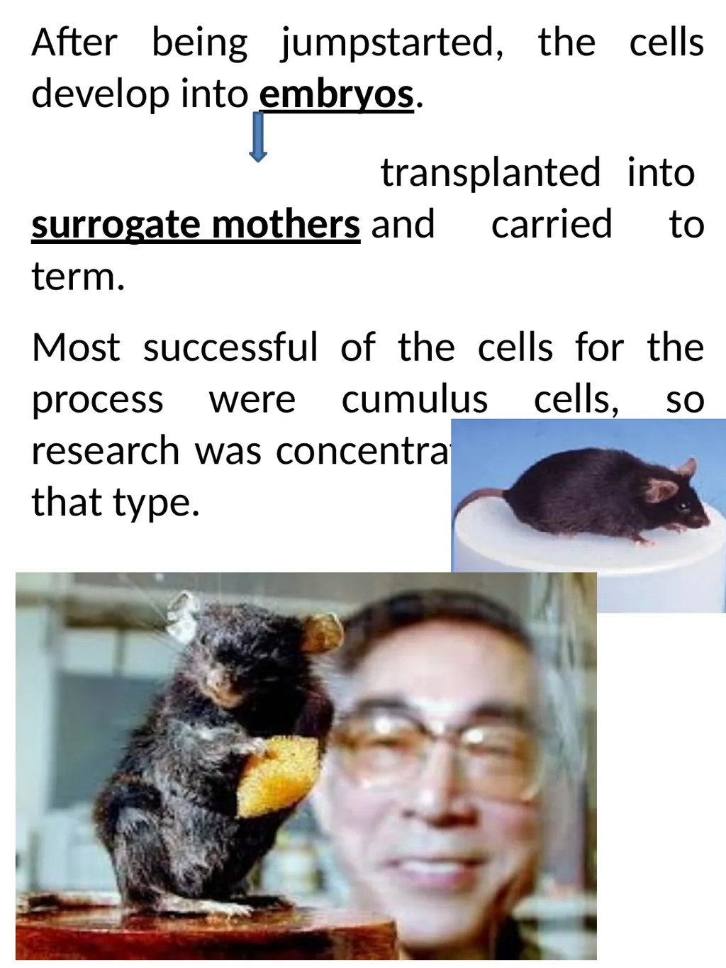 Somatic cell Nuclear Transfer In genetics and - slide 14 of 17