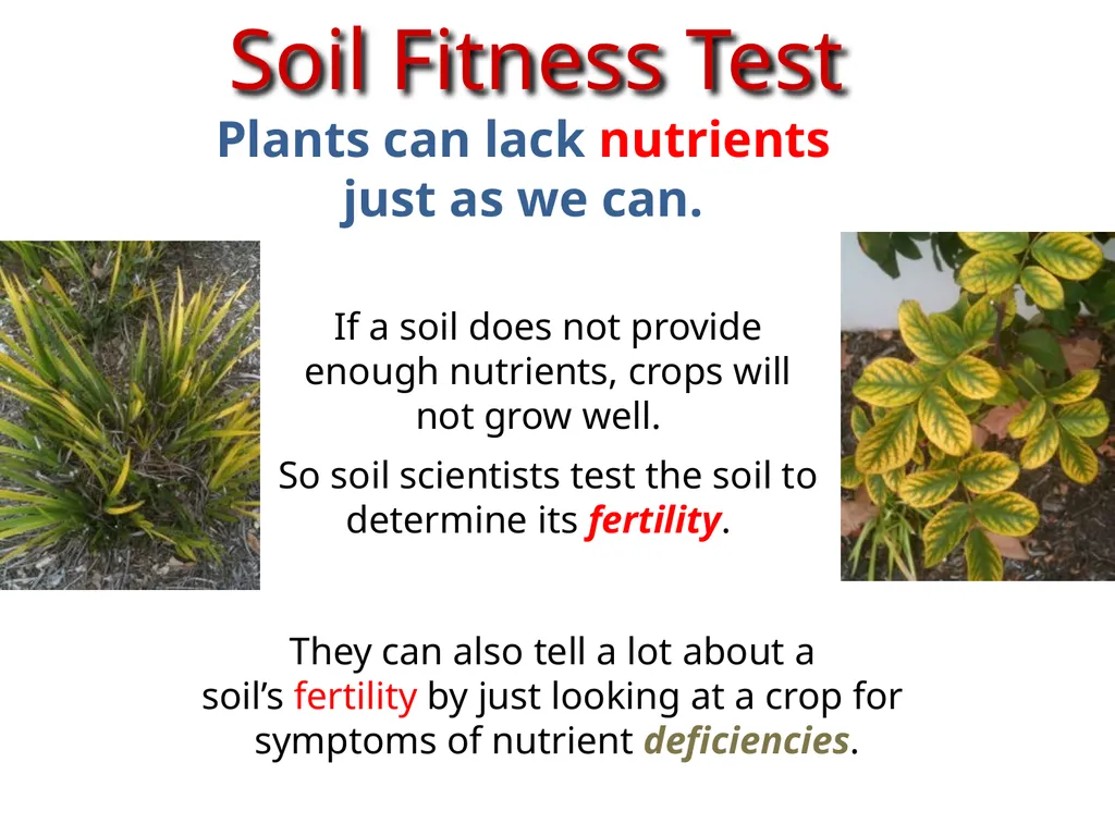 Soils Need Nutrients Too KEEPING SOILS FIT Most - slide 9 of 14