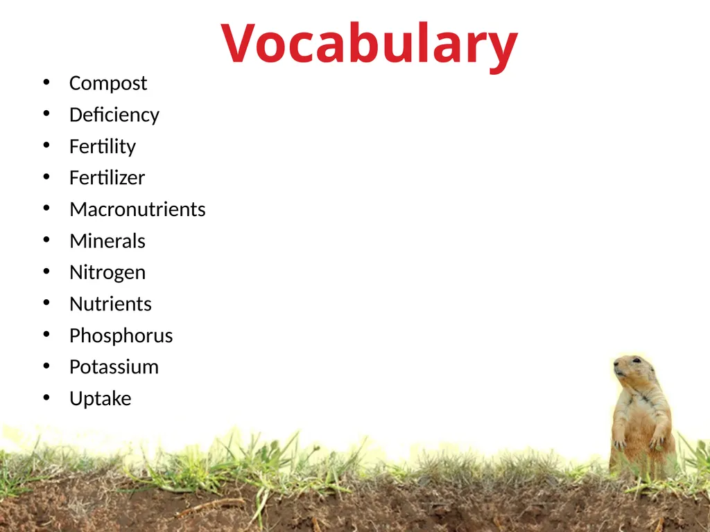 Soils Need Nutrients Too KEEPING SOILS FIT Most - slide 13 of 14