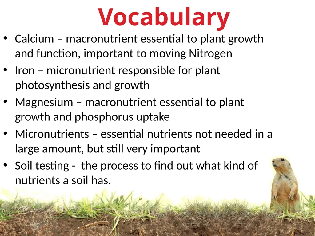 Soils Need Nutrients Too KEEPING SOILS FIT Most - slide 14 of 14
