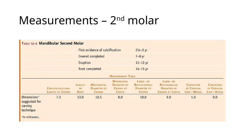 Mandibular molars Dr Vinothkumar Sengottaiyan MDS - slide 8 of 9