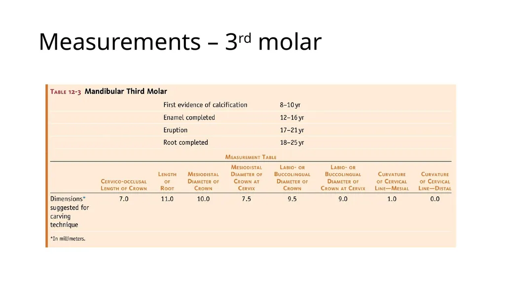 Mandibular molars Dr Vinothkumar Sengottaiyan MDS - slide 9 of 9