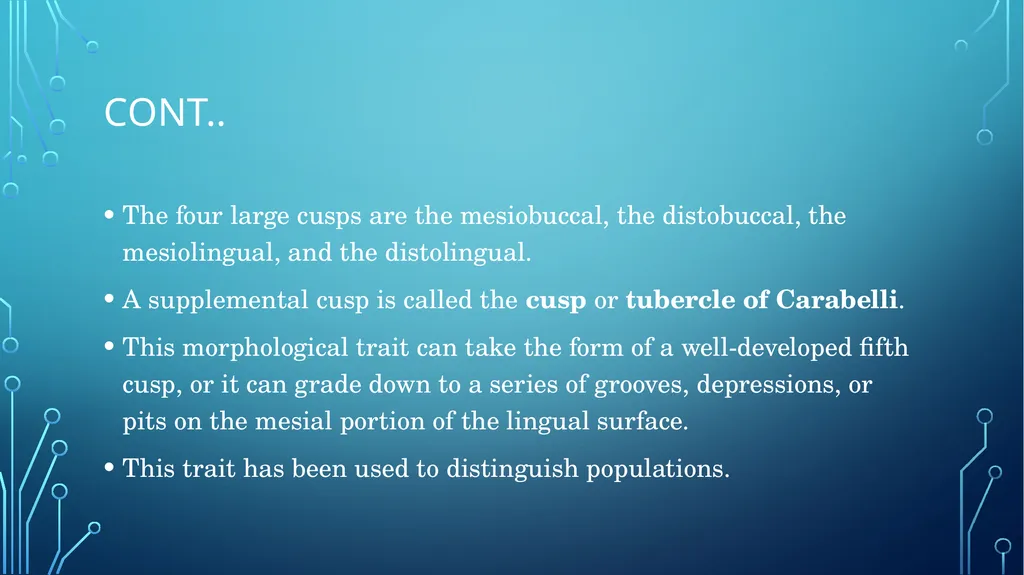 The permanent maxillary molars Dr. pinar khalis - slide 7 of 50