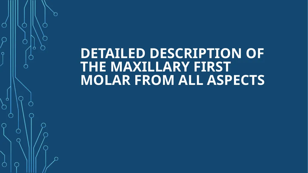 The permanent maxillary molars Dr. pinar khalis - slide 9 of 50