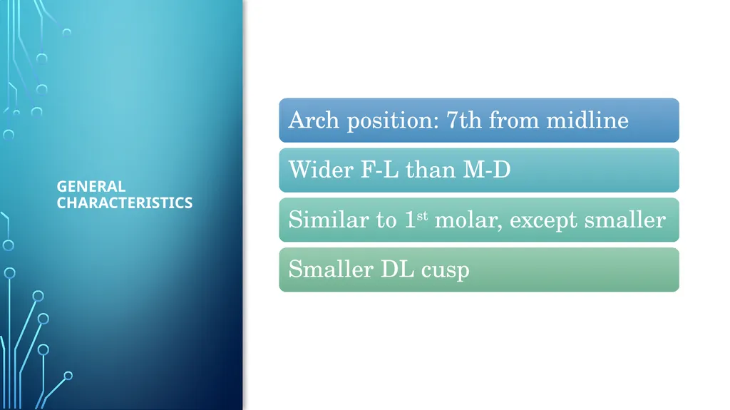 The permanent maxillary molars Dr. pinar khalis - slide 35 of 50