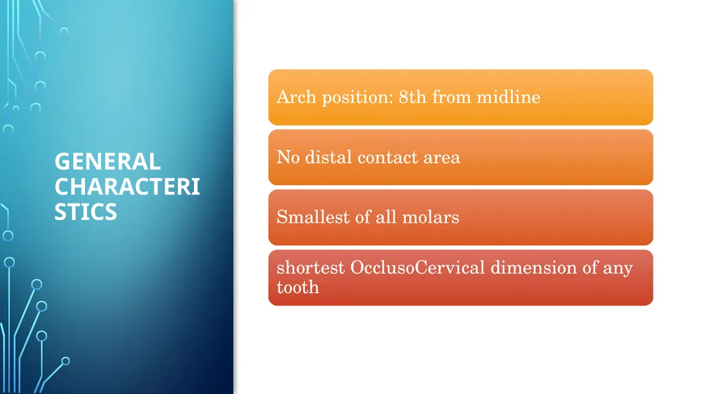 The permanent maxillary molars Dr. pinar khalis - slide 44 of 50