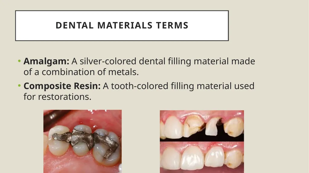 Dental terminology Dr Dina Taimeh Dental - slide 18 of 21