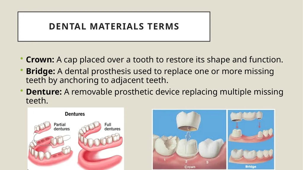Dental terminology Dr Dina Taimeh Dental - slide 20 of 21