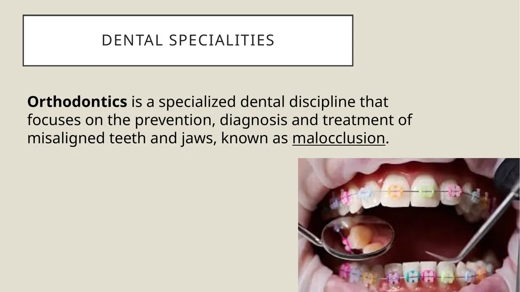 Dental terminology Dr Dina Taimeh Dental - slide 11 of 21
