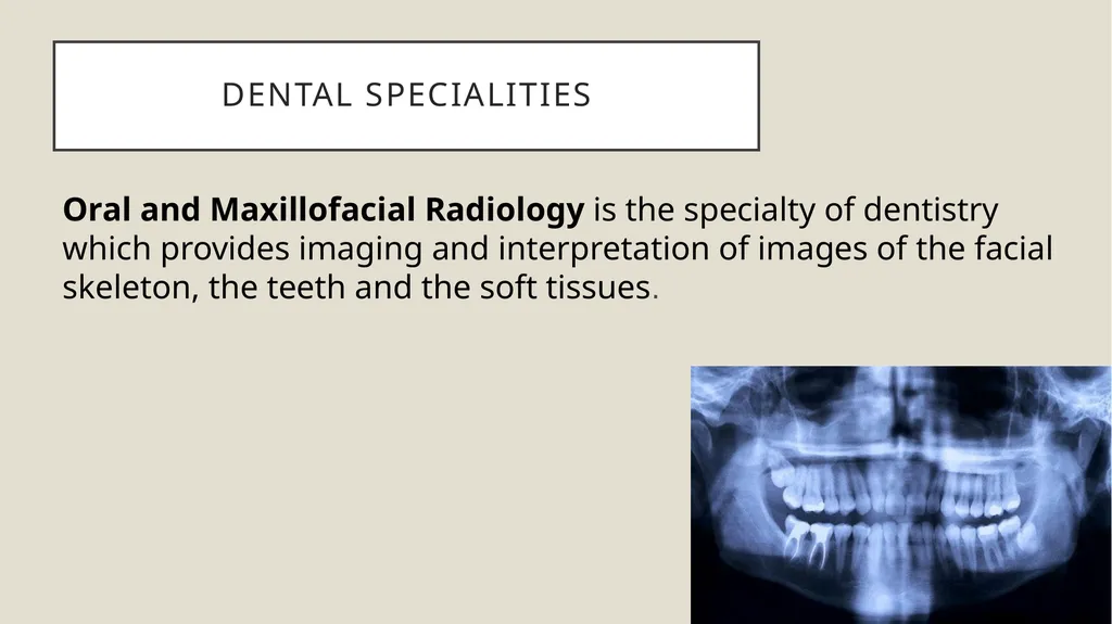 Dental terminology Dr Dina Taimeh Dental - slide 8 of 21