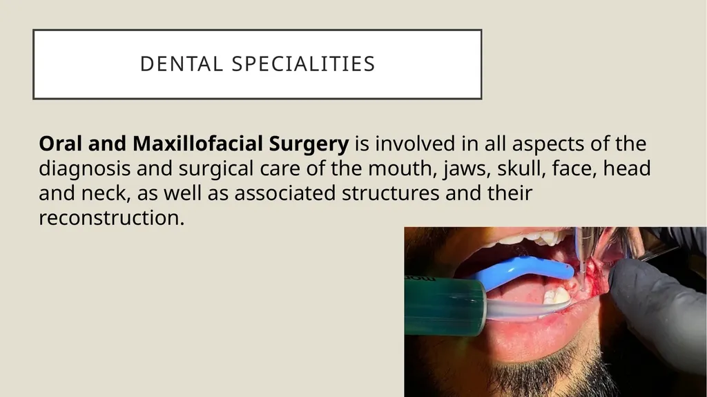 Dental terminology Dr Dina Taimeh Dental - slide 9 of 21