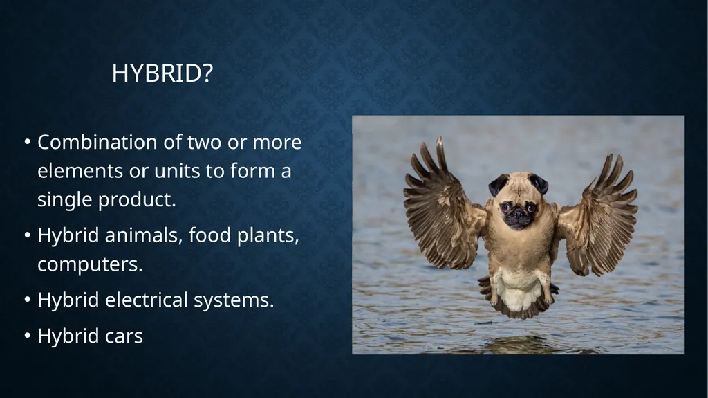 HYBRID SYSTEMS renewable energy resources and - slide 3 of 20