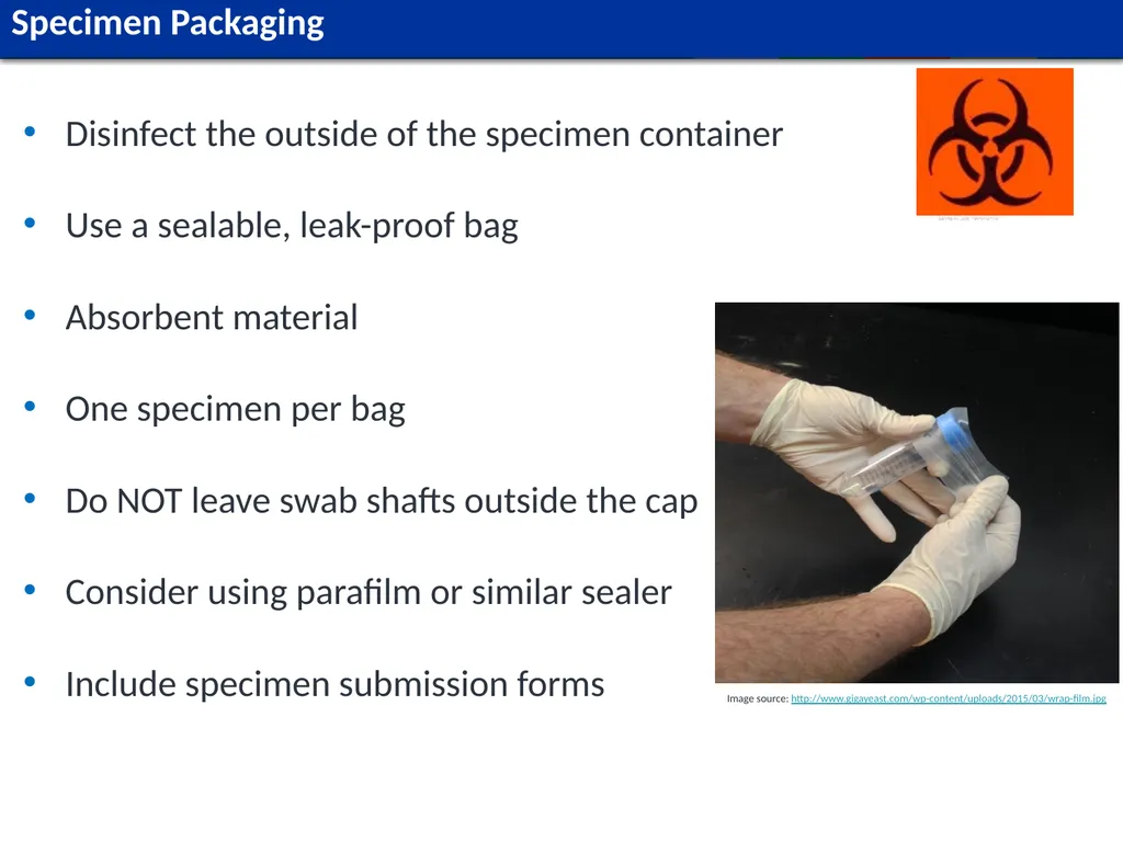 Module L1 Human Specimen Collection, Transport & - slide 33 of 53