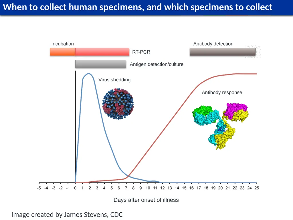Module L1 Human Specimen Collection, Transport & - slide 6 of 53