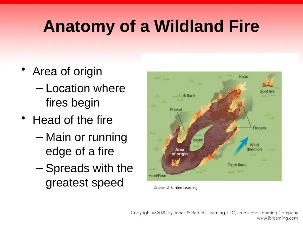 CHAPTER 21 Wildland and Ground Cover Fires - slide 25 of 75