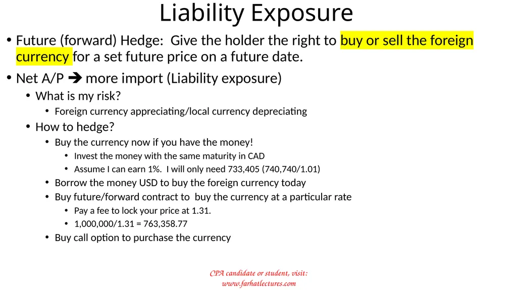 Foreign Currency Exchange Risk Companies sell and - slide 13 of 17