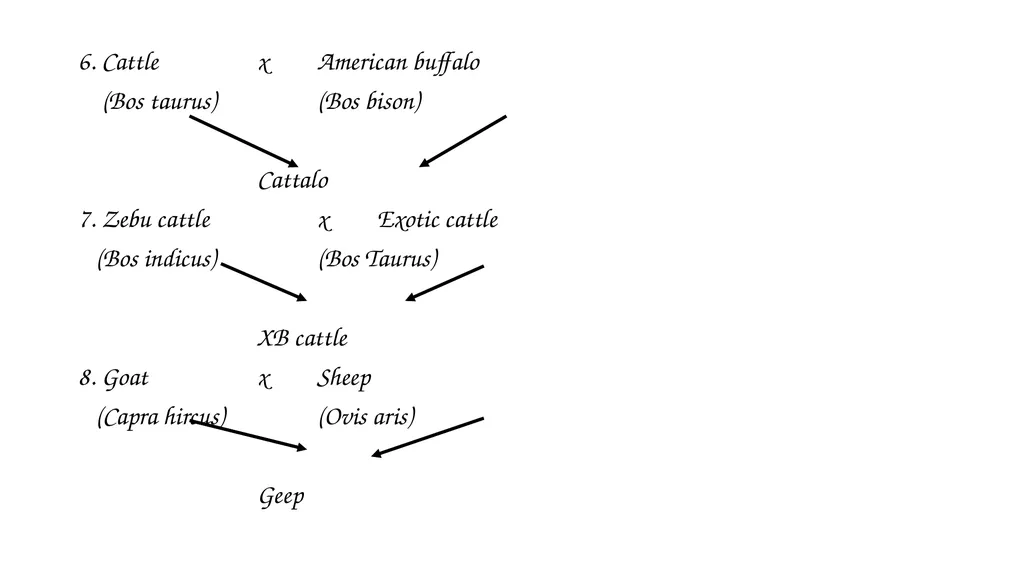 ANIMAL GENETICS & BREEDING UNIT – III Principles - slide 26 of 32