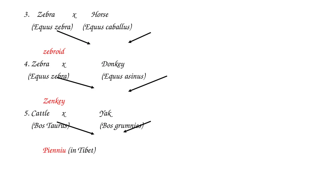 ANIMAL GENETICS & BREEDING UNIT – III Principles - slide 25 of 32