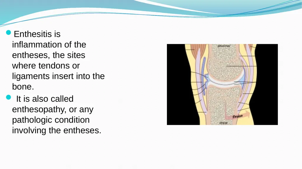 1 Subject : Orthopedic and Neurovascular Nursing - slide 34 of 61