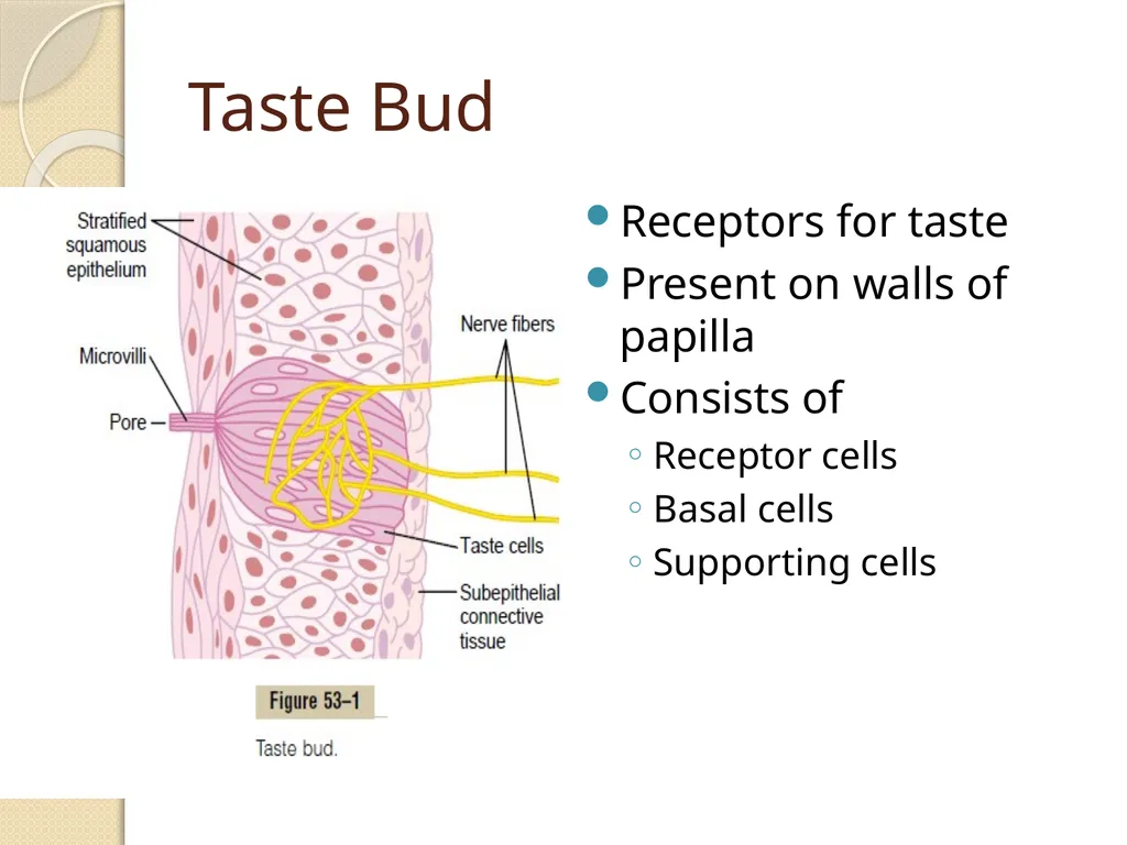 Taste Dr Mohammed Jeelani Specific learning - slide 5 of 14