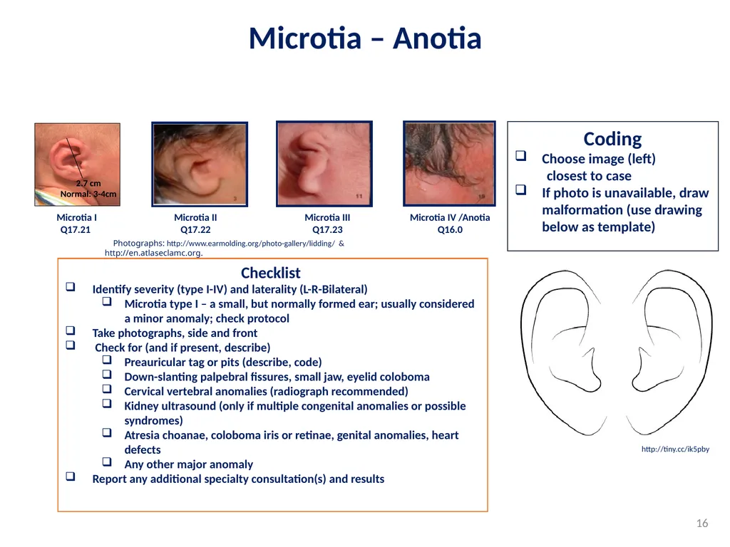 Disclaimer: The findings and conclusions in this - slide 16 of 29