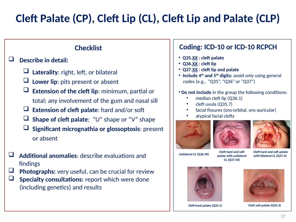 Disclaimer: The findings and conclusions in this - slide 17 of 29