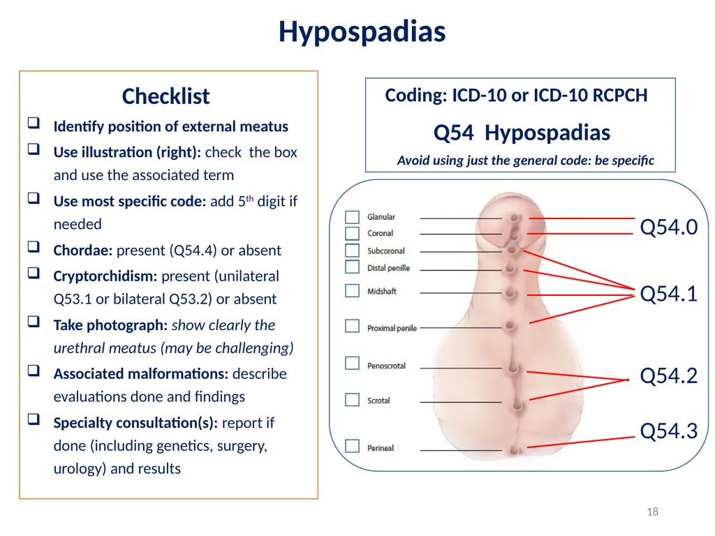Disclaimer: The findings and conclusions in this - slide 18 of 29