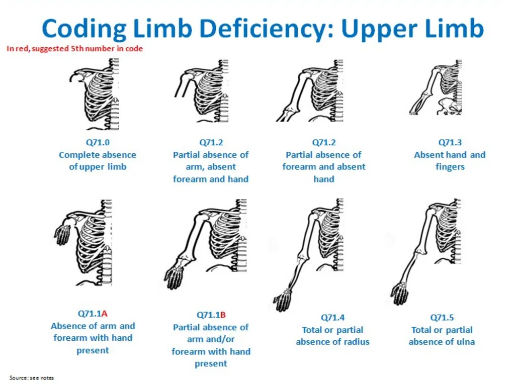 Disclaimer: The findings and conclusions in this - slide 21 of 29