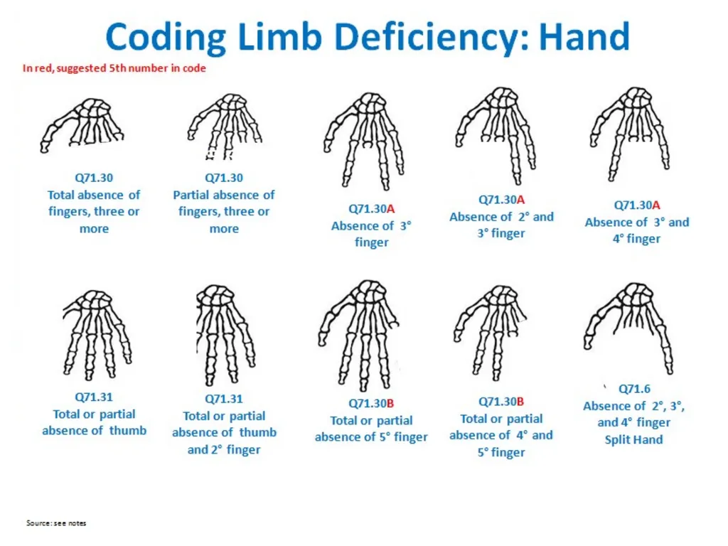 Disclaimer: The findings and conclusions in this - slide 22 of 29