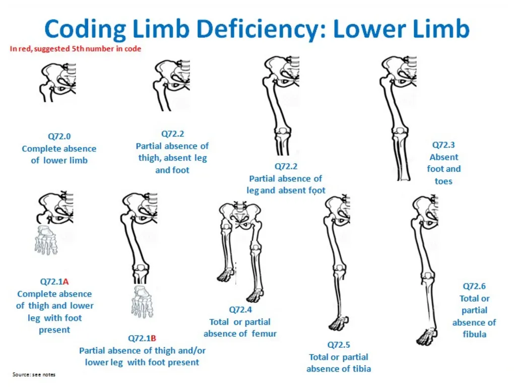 Disclaimer: The findings and conclusions in this - slide 23 of 29