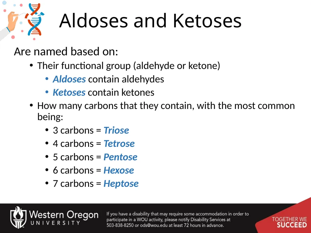 Carbohydrates – Part 1 Monosaccharide Structure - slide 5 of 40