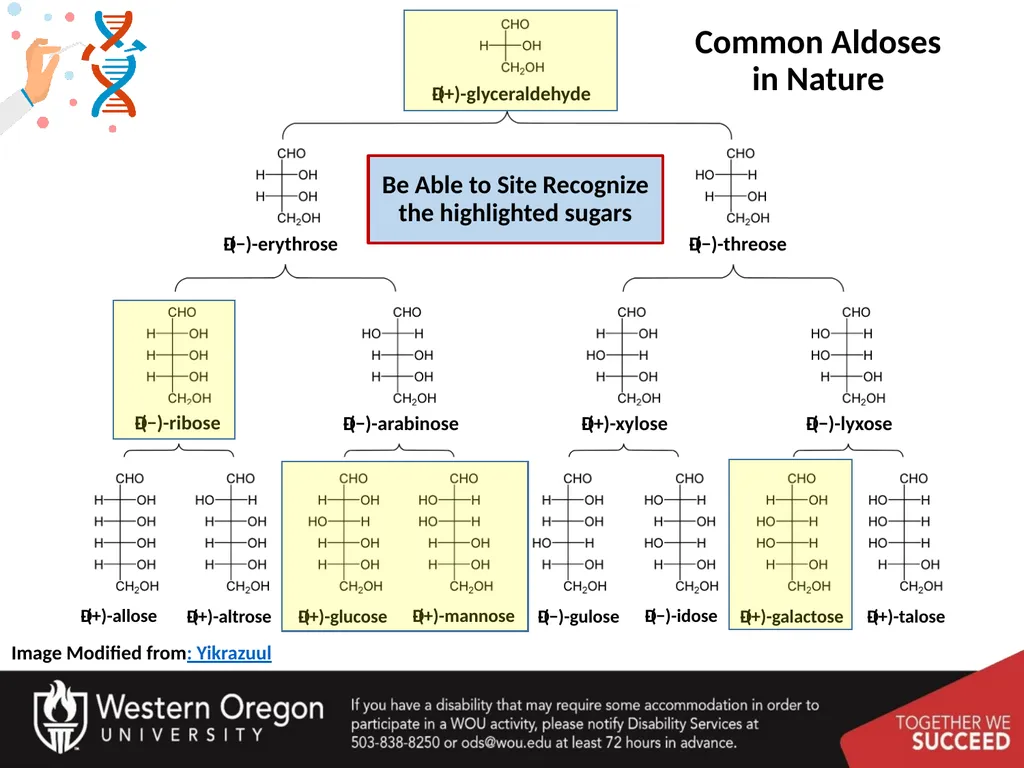 Carbohydrates – Part 1 Monosaccharide Structure - slide 38 of 40