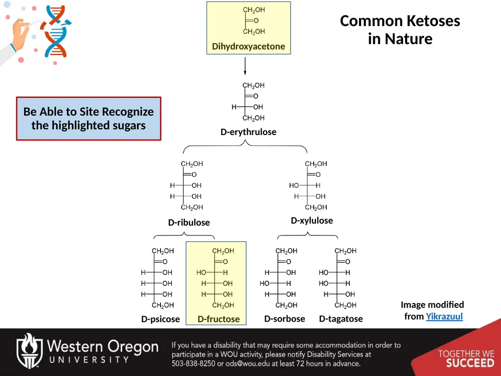 Carbohydrates – Part 1 Monosaccharide Structure - slide 39 of 40